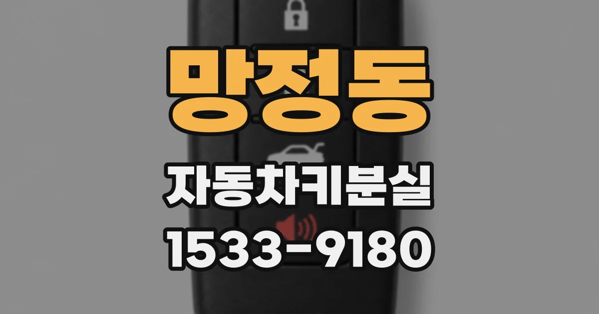 망정동 자동차키분실
