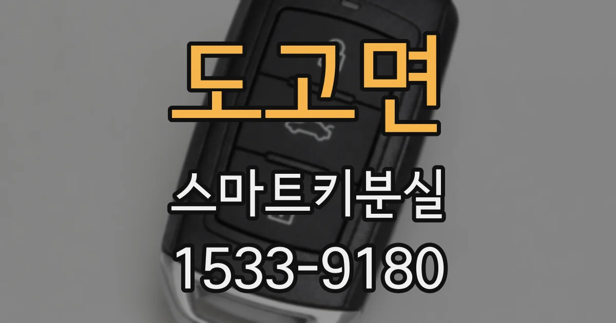 도고면 스마트키분실