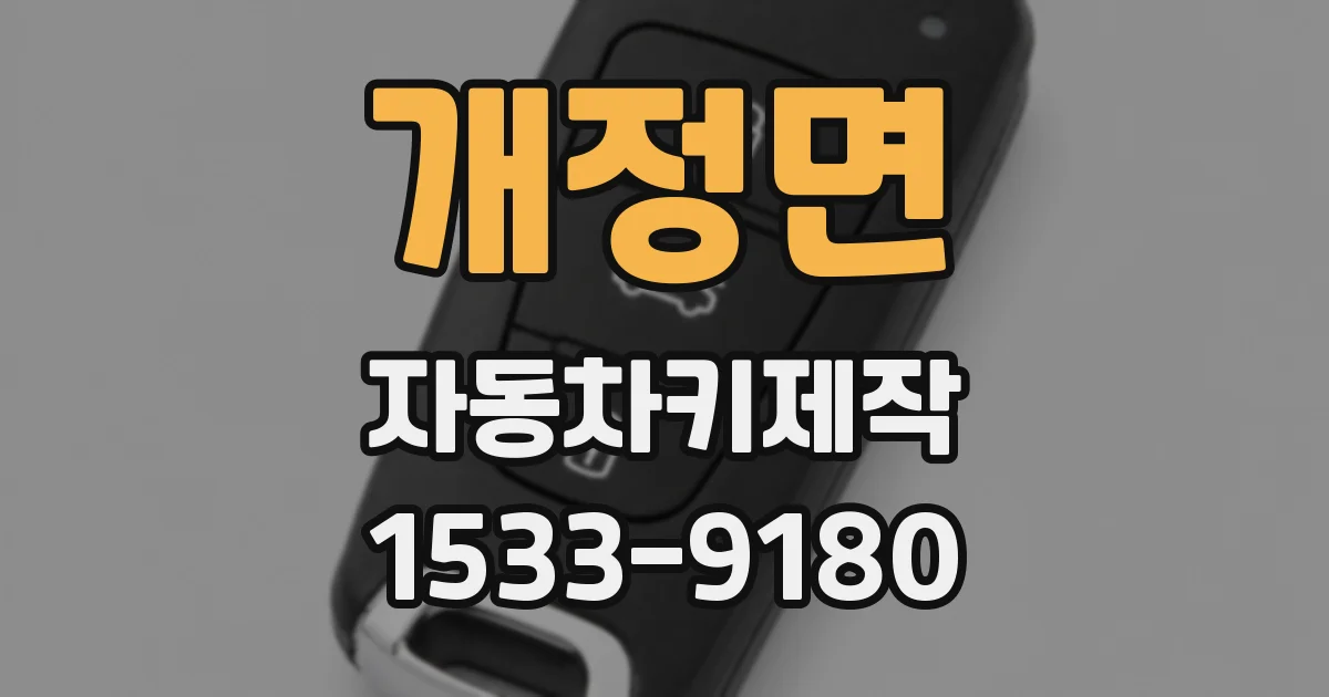 개정면 자동차키제작