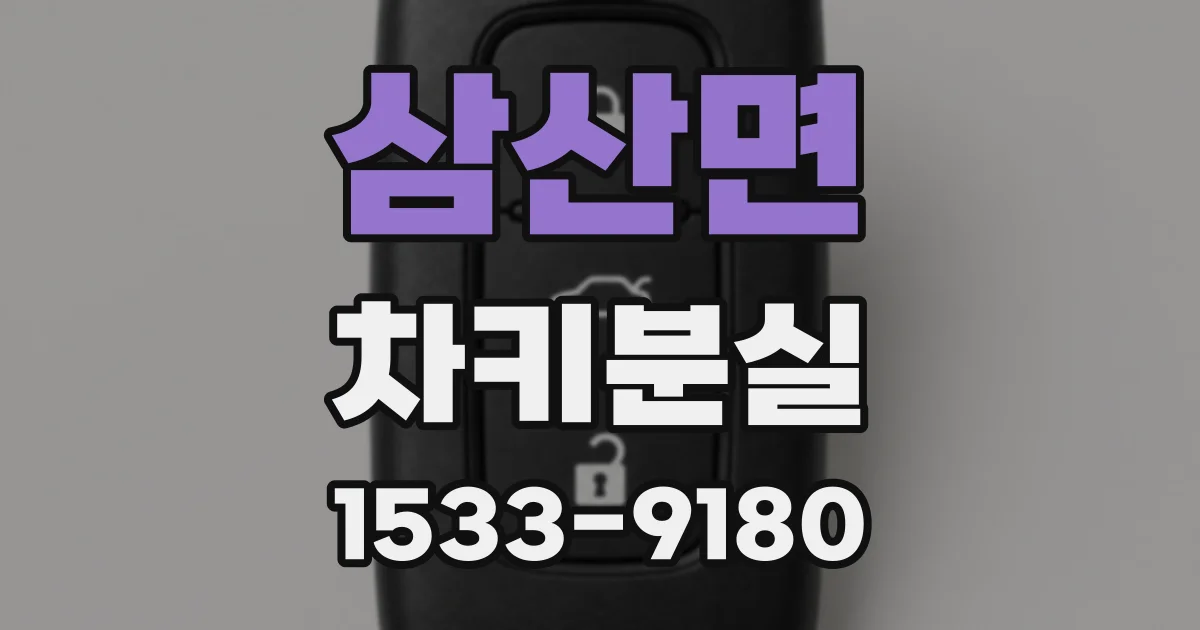 삼산면 차키분실