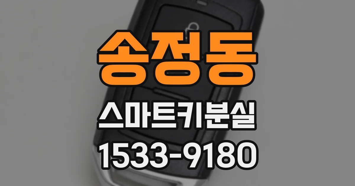 송정동 스마트키분실