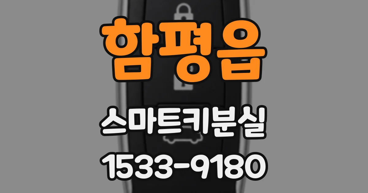 함평읍 스마트키분실