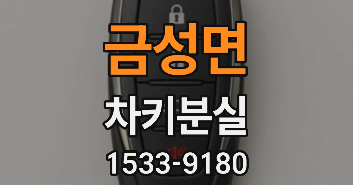 금성면 차키분실