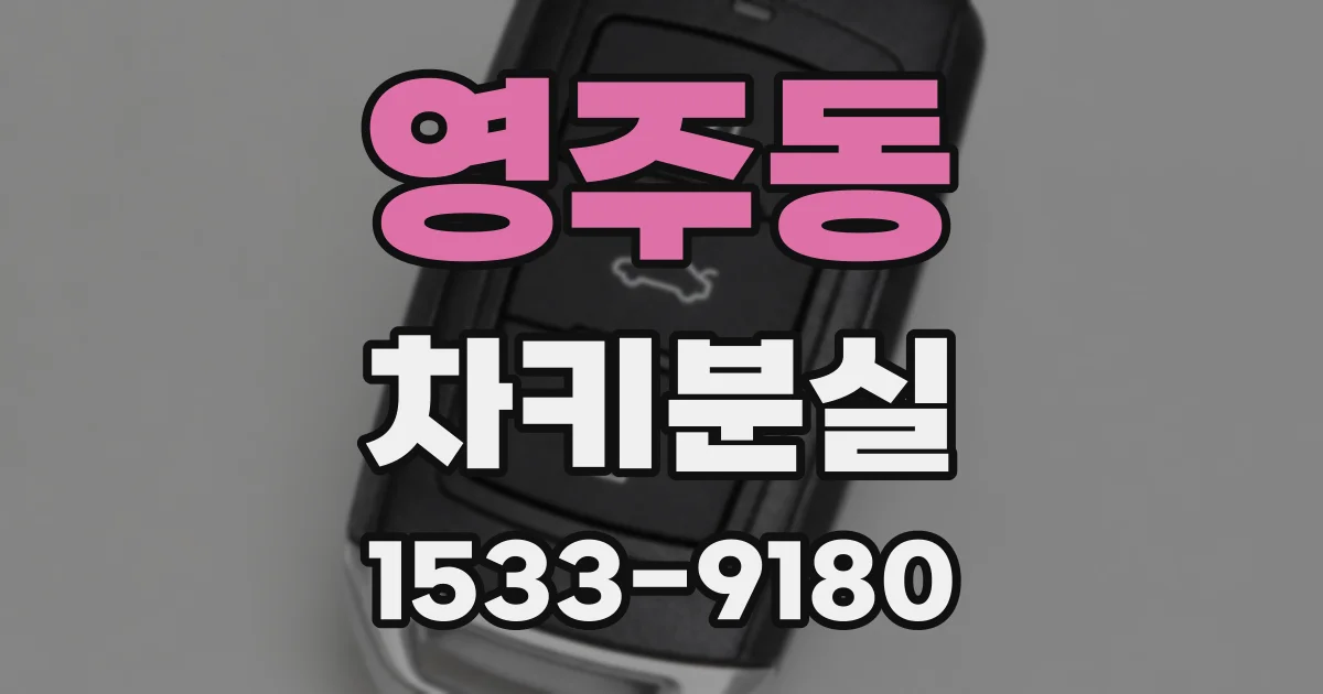 영주동 차키분실