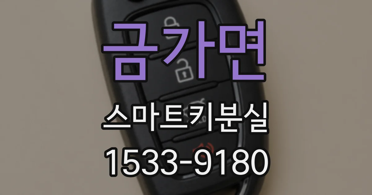 금가면 스마트키분실
