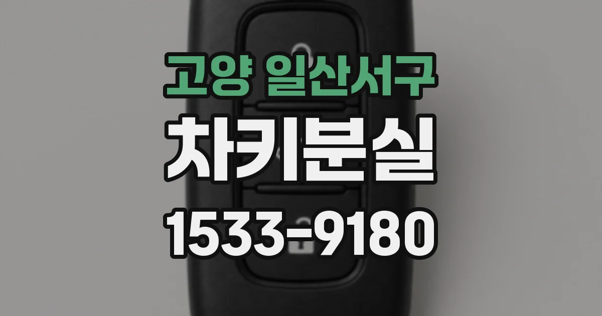 고양 일산서구 차키분실