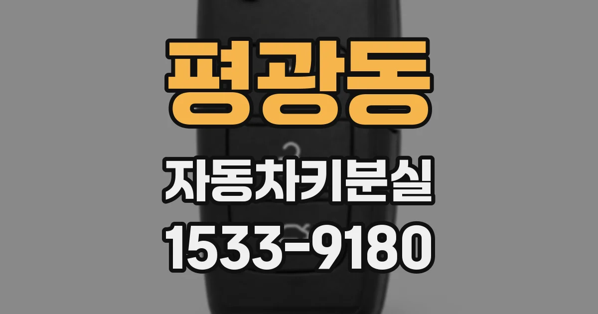 평광동 자동차키분실