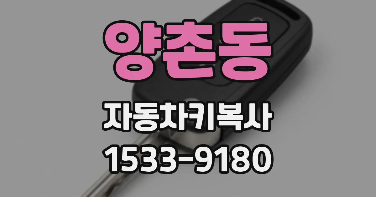 양촌동 자동차키복사