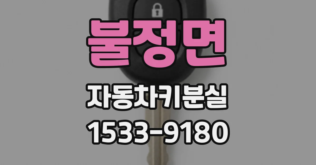 불정면 자동차키분실
