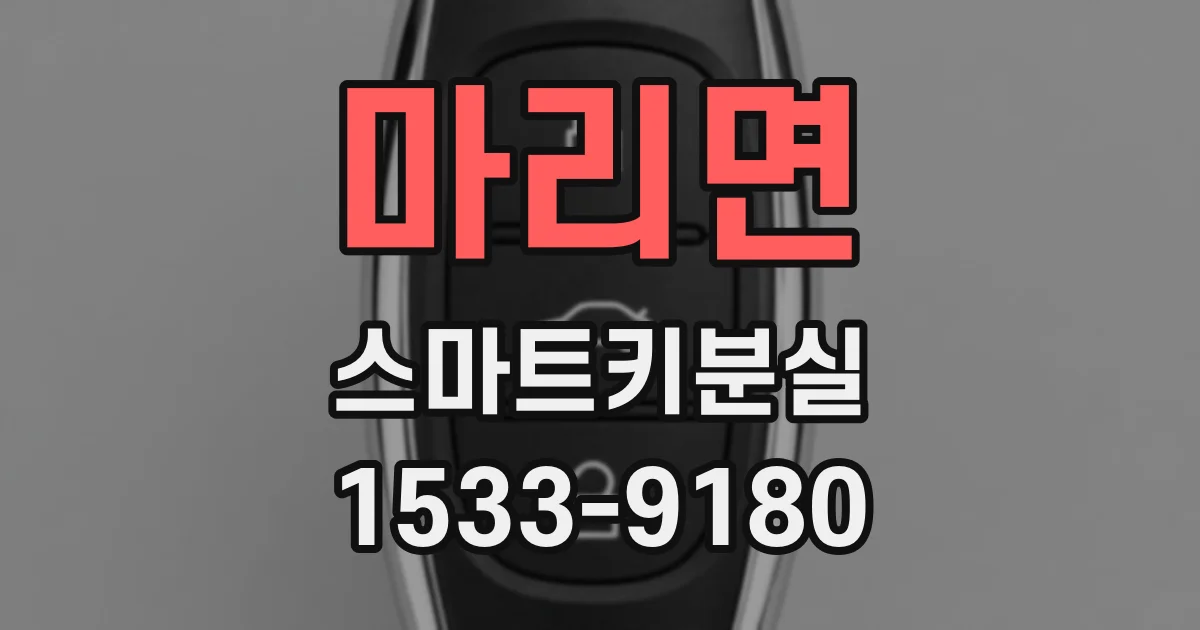 마리면 스마트키분실
