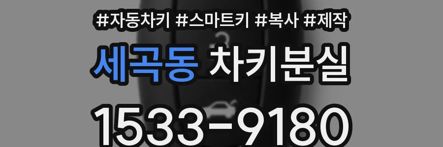 세곡동 차키분실