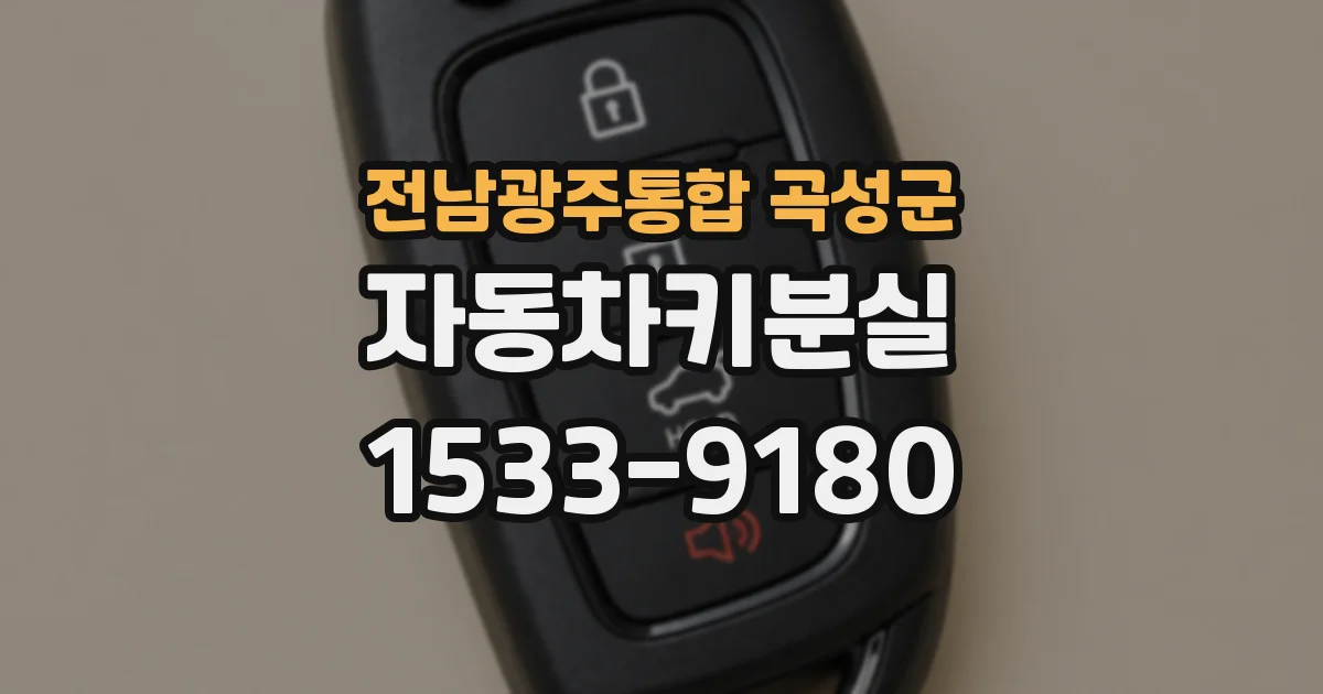 전남광주통합 곡성군 자동차키분실