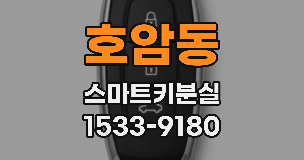 호암동 스마트키분실