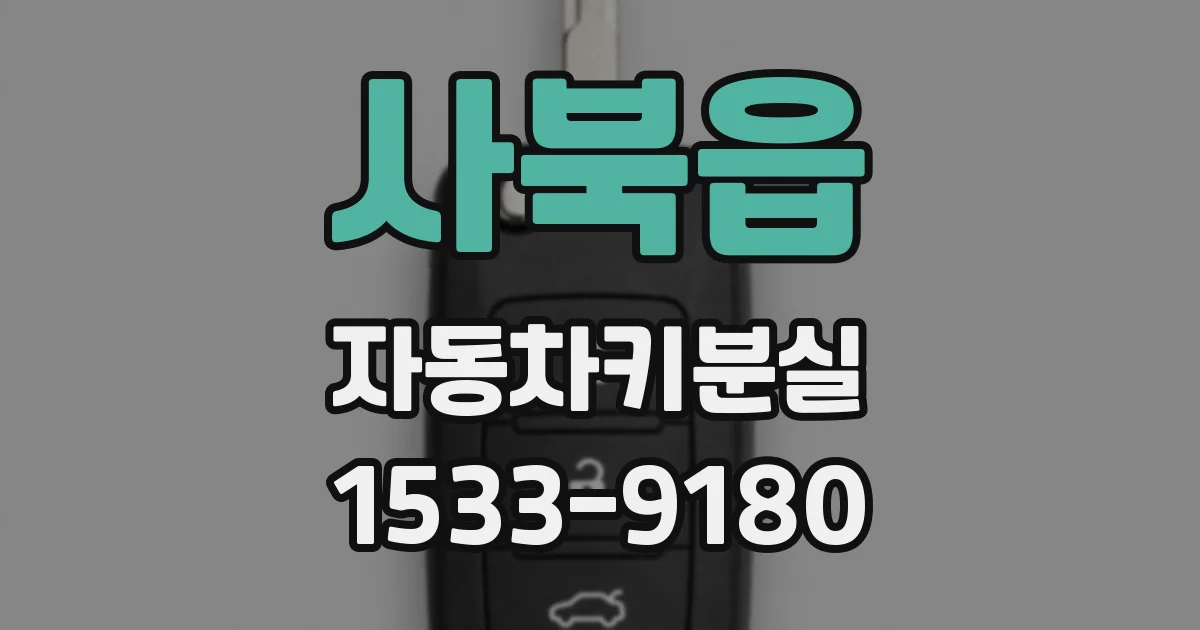 사북읍 자동차키분실