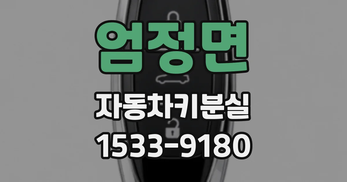 엄정면 자동차키분실
