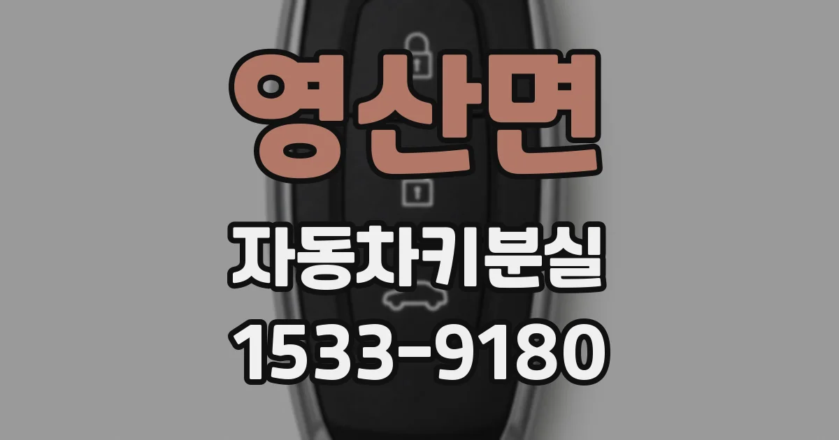 영산면 자동차키분실
