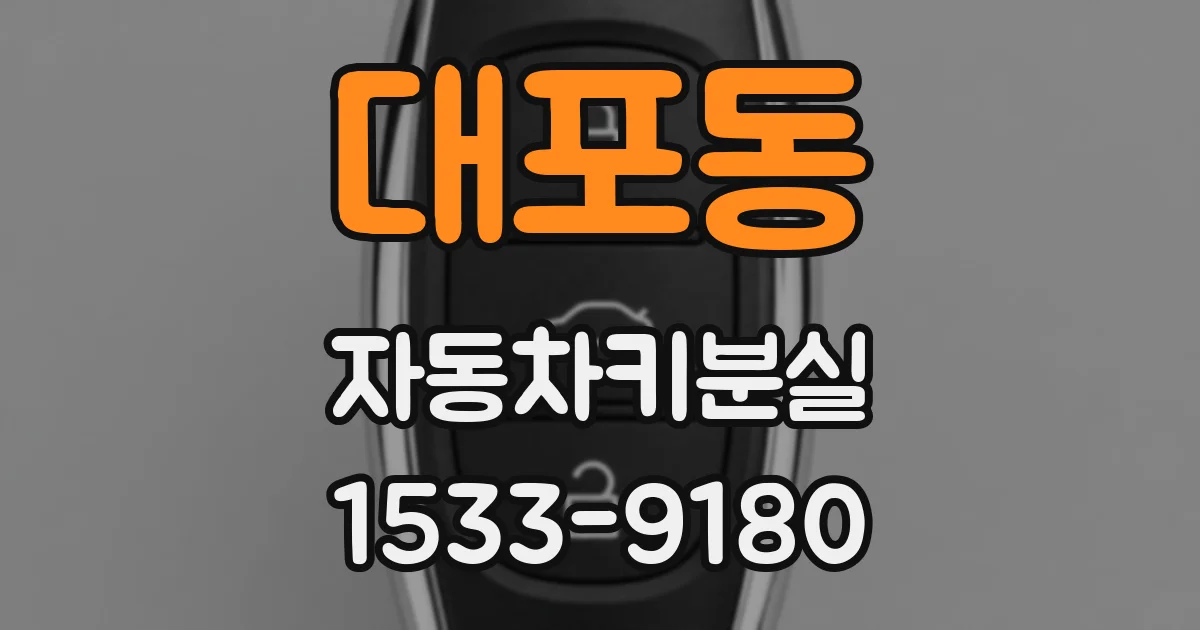 대포동 자동차키분실