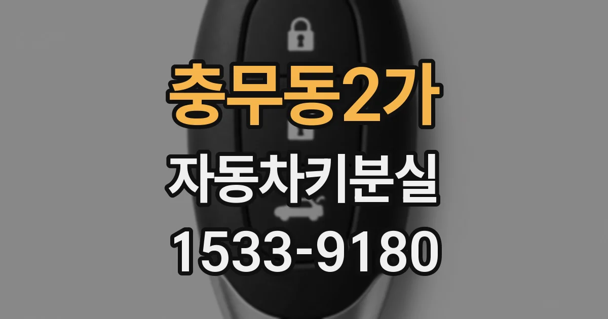 충무동2가 자동차키분실