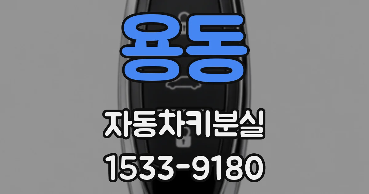 용동 자동차키분실
