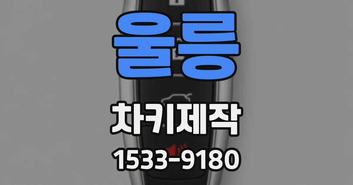 울릉 차키제작