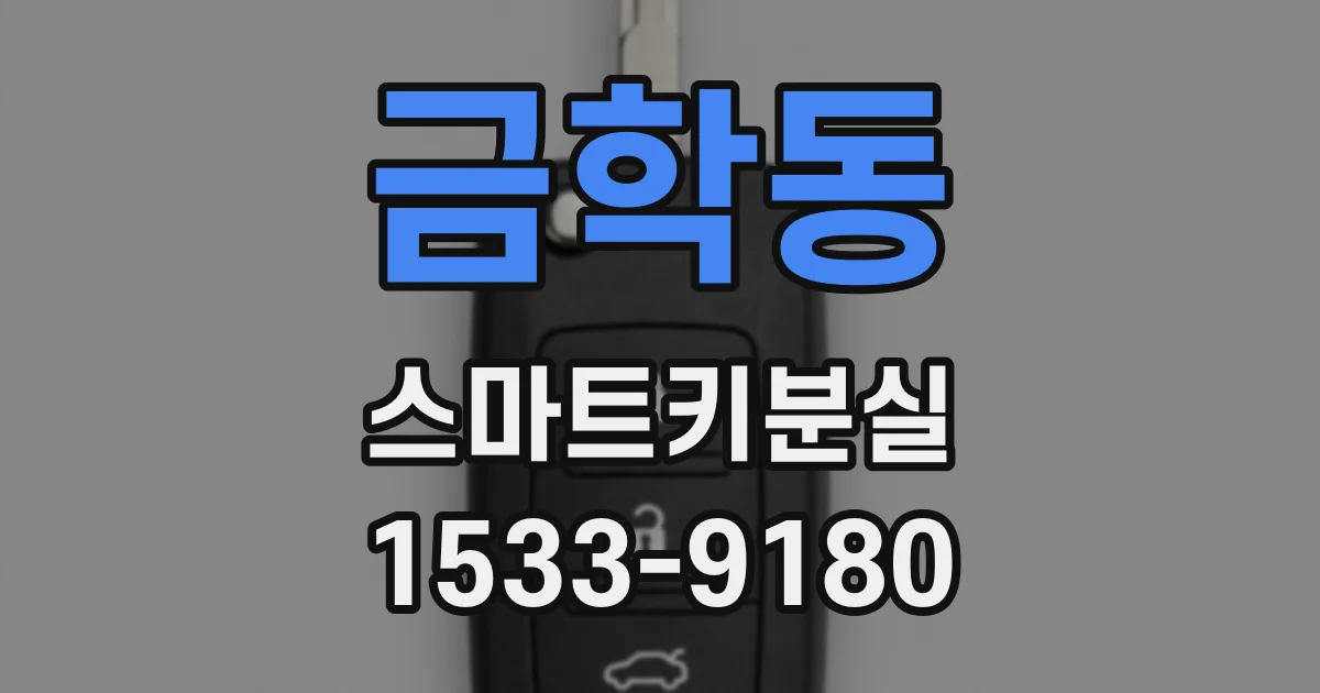 금학동 스마트키분실