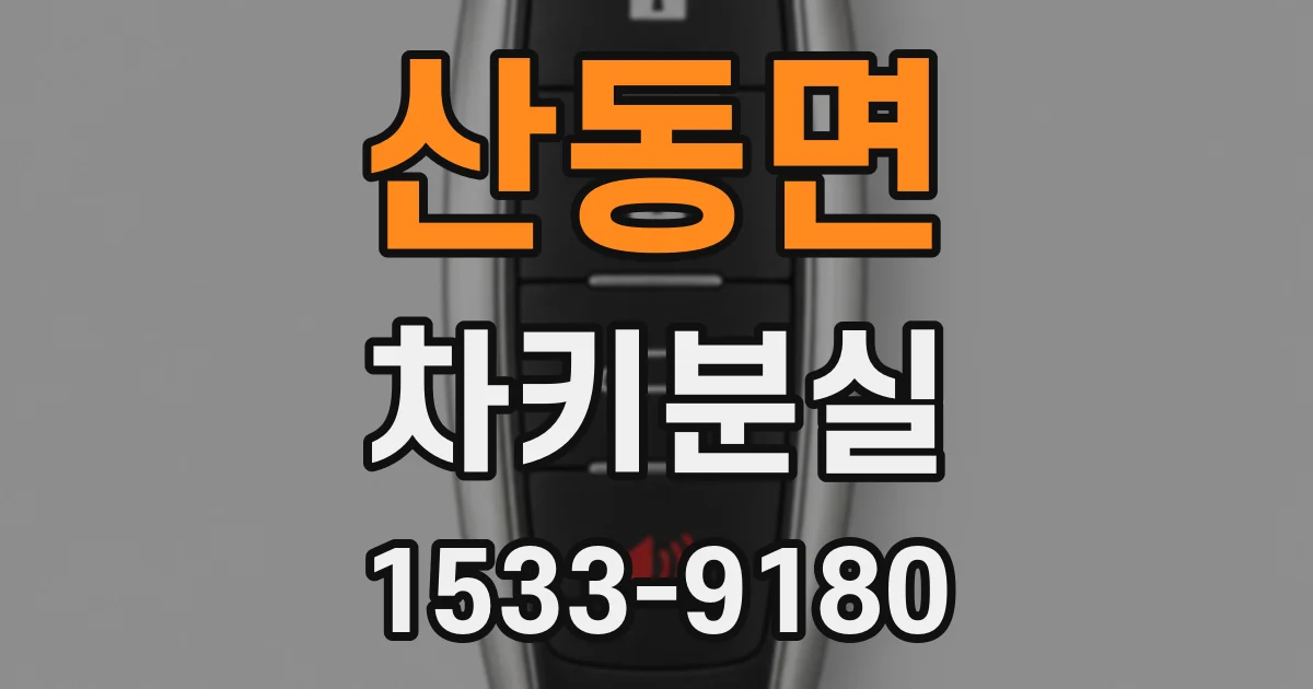 산동면 차키분실