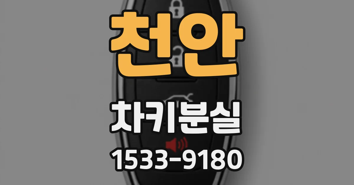 천안 차키분실