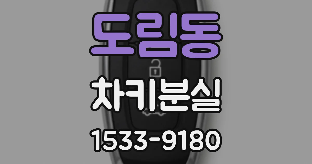 도림동 차키분실