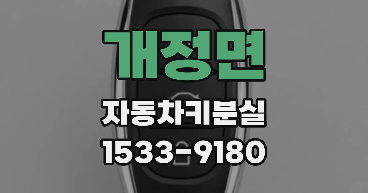 개정면 자동차키분실