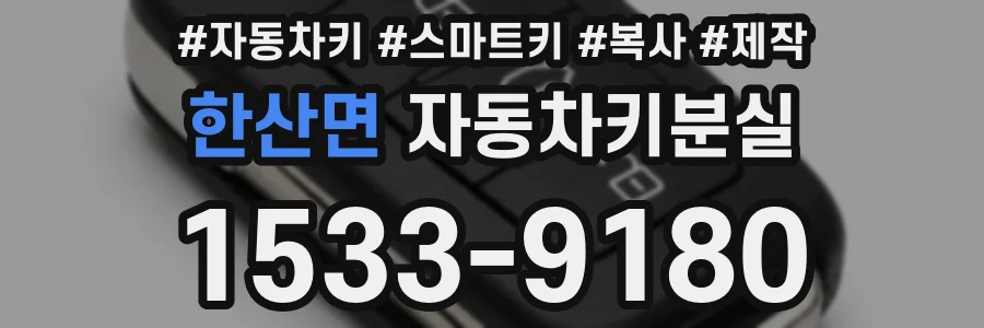 한산면 자동차키분실