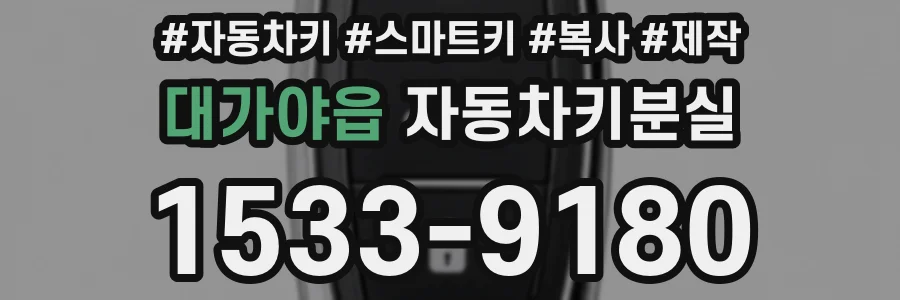 대가야읍 자동차키분실