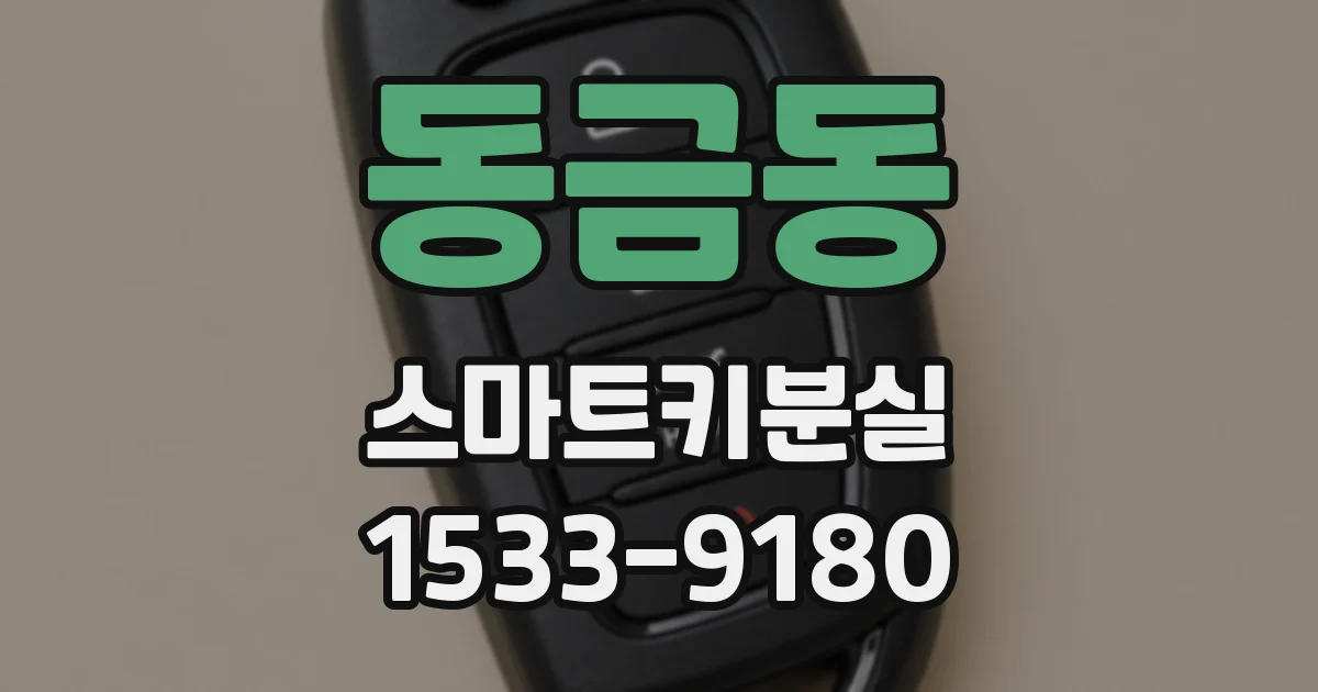 동금동 스마트키분실