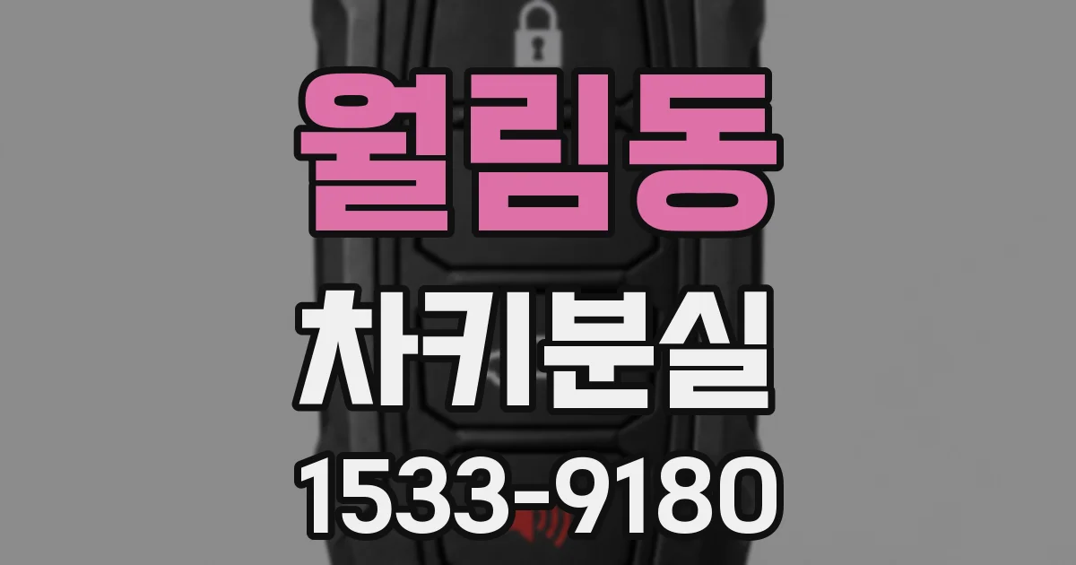월림동 차키분실