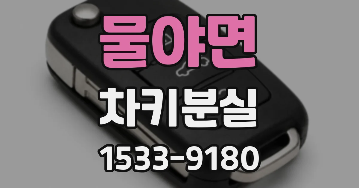 물야면 차키분실