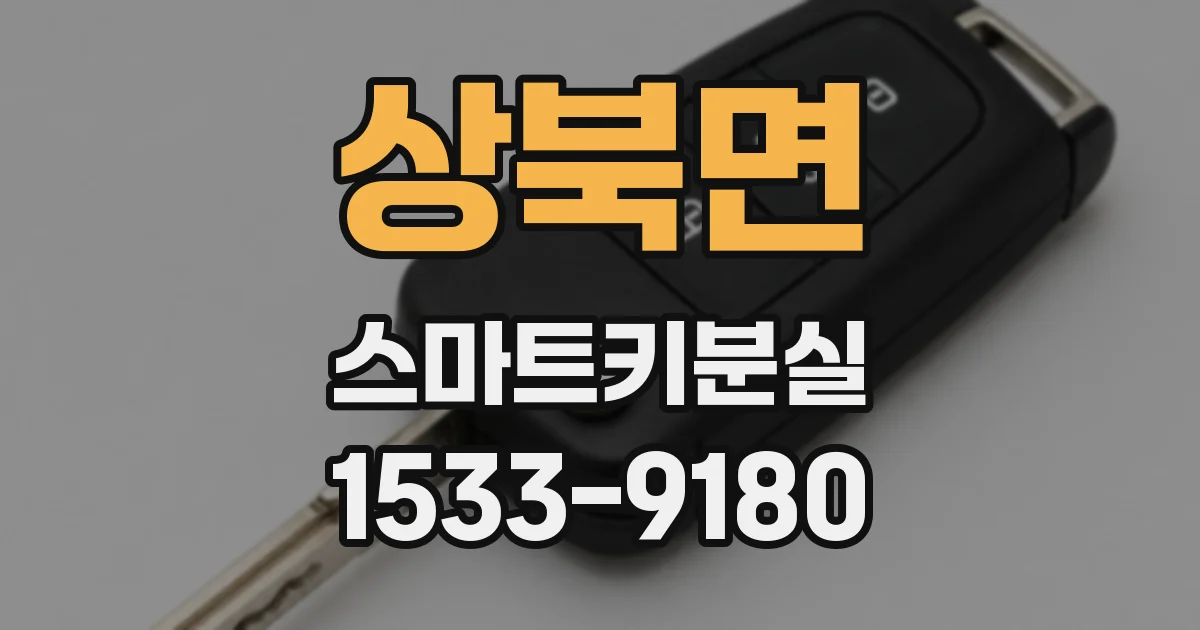 상북면 스마트키분실
