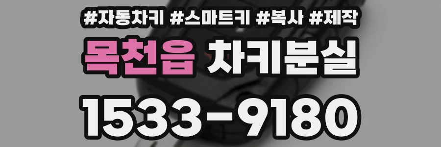 목천읍 차키분실