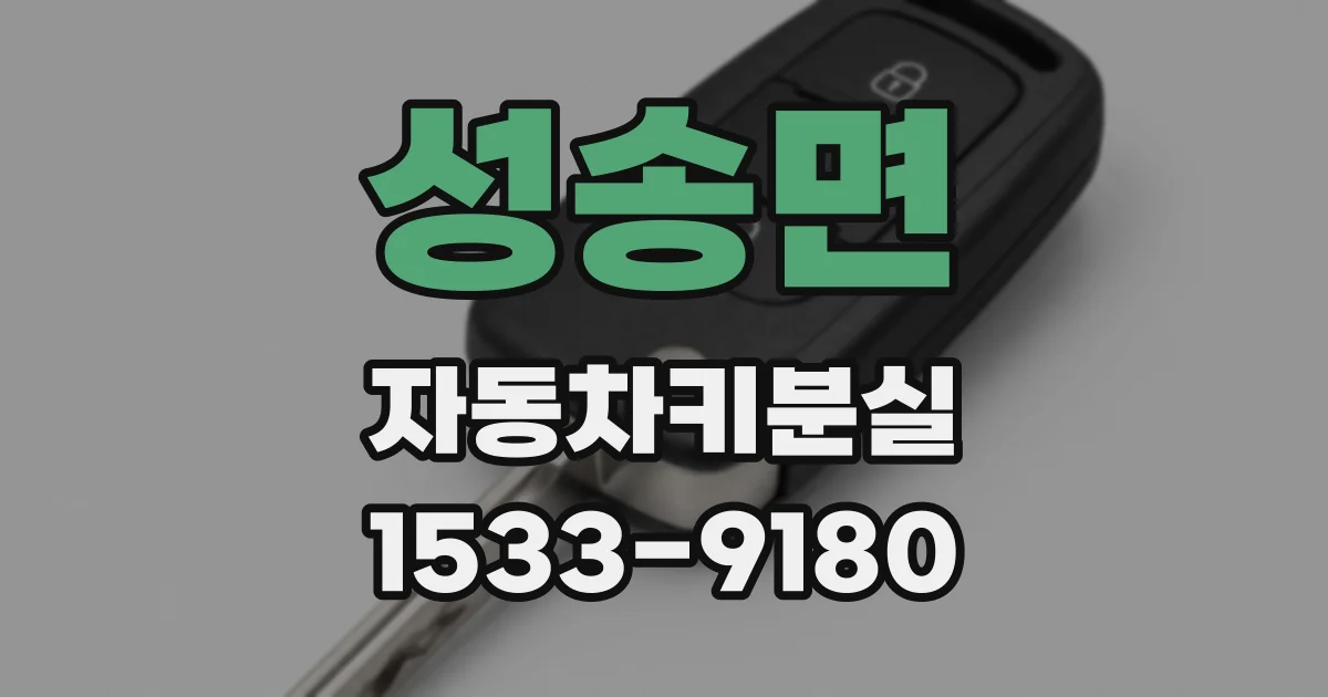 성송면 자동차키분실