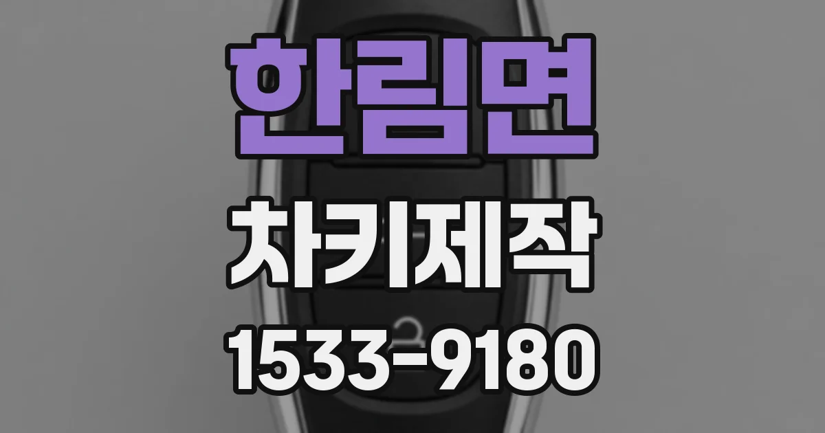 한림면 차키제작