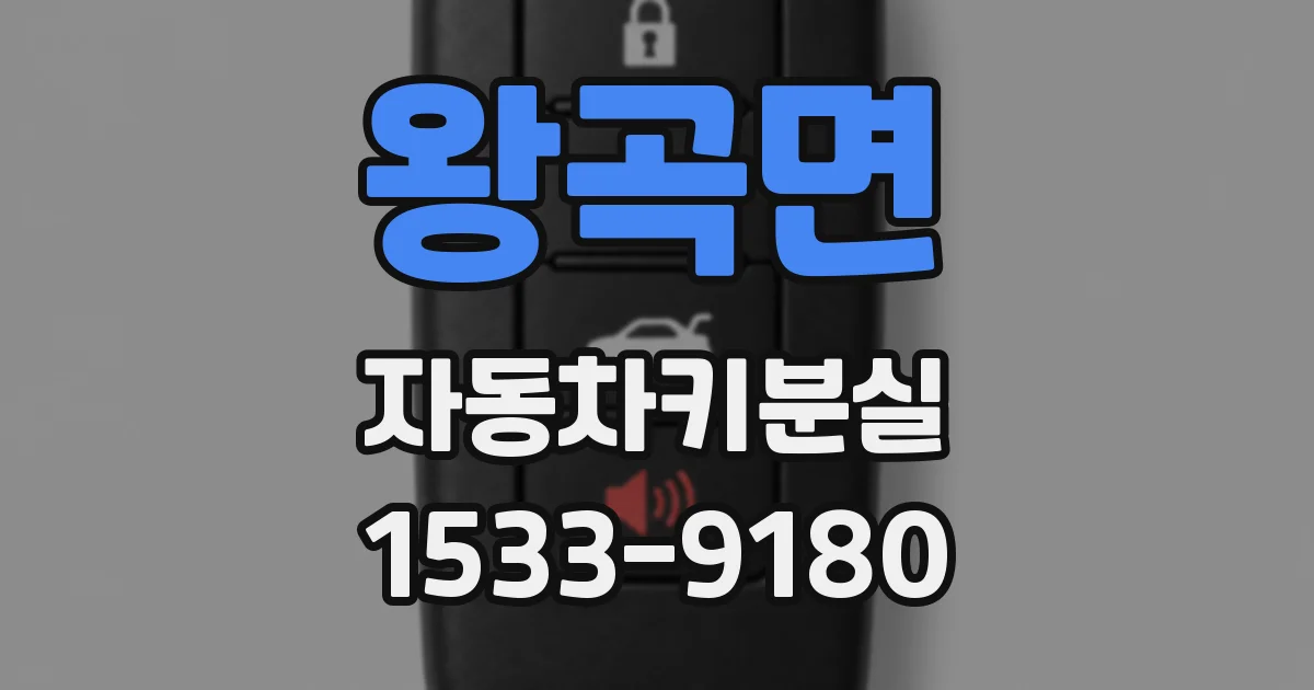 왕곡면 자동차키분실