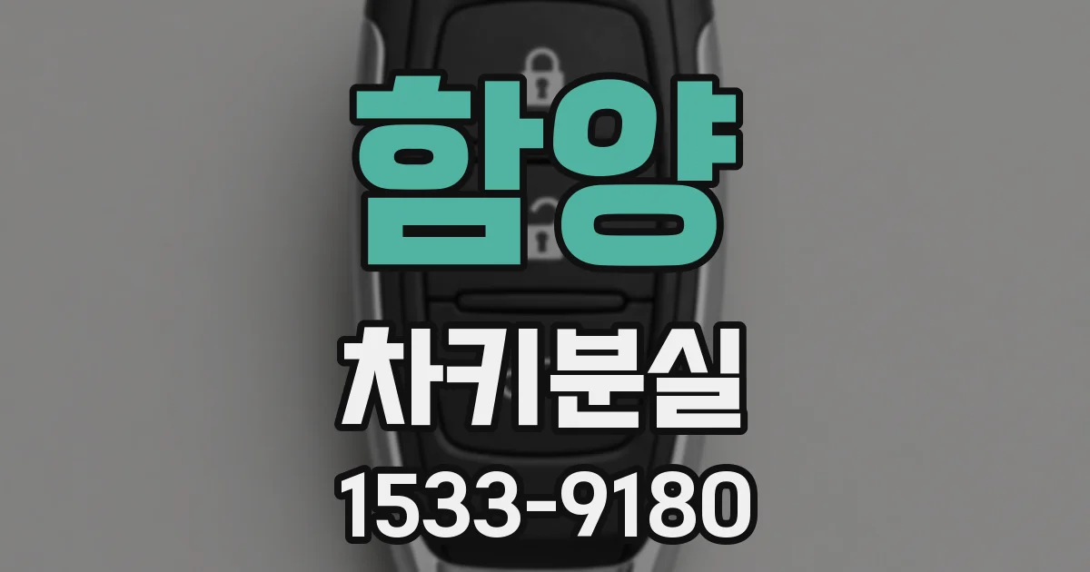 함양 차키분실