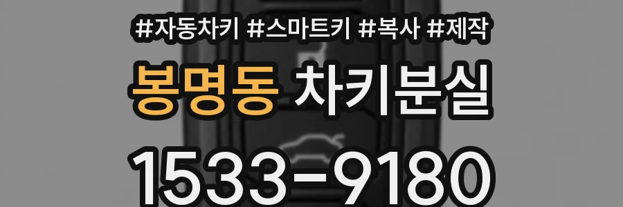 봉명동 차키분실