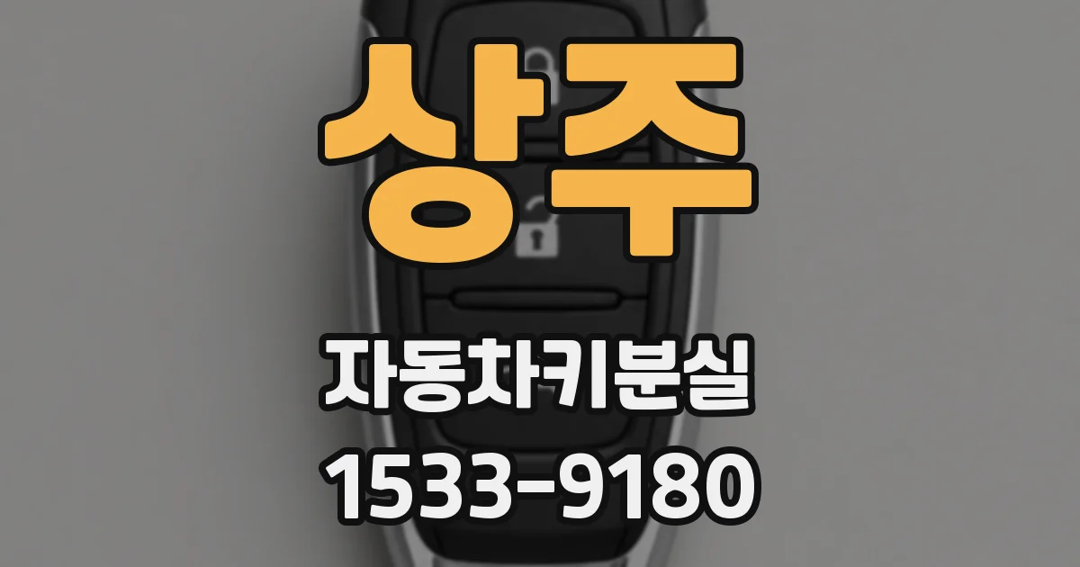 상주 자동차키분실