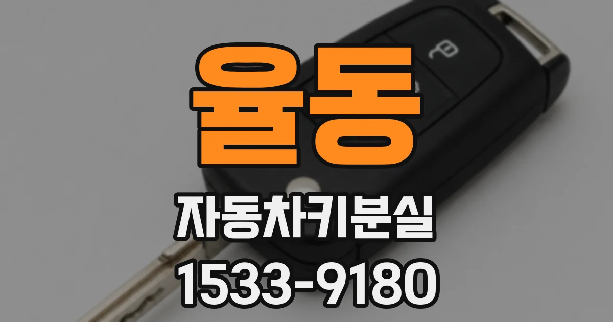 율동 자동차키분실