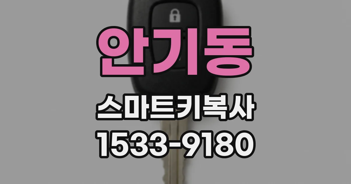 안기동 스마트키복사