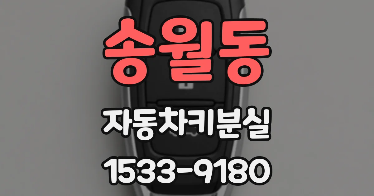 송월동 자동차키분실