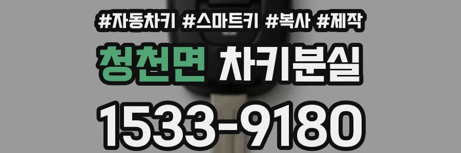 청천면 차키분실