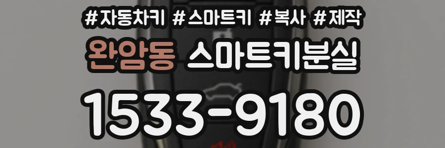 완암동 스마트키분실