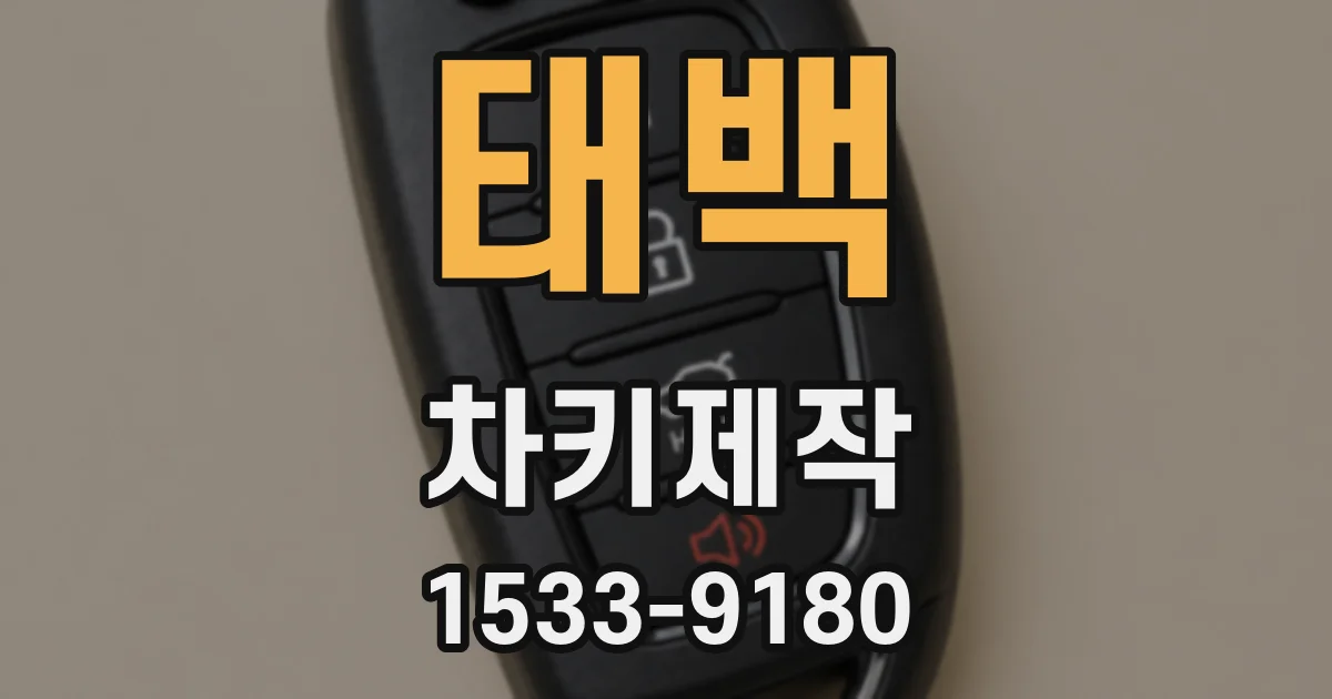 태백 차키제작