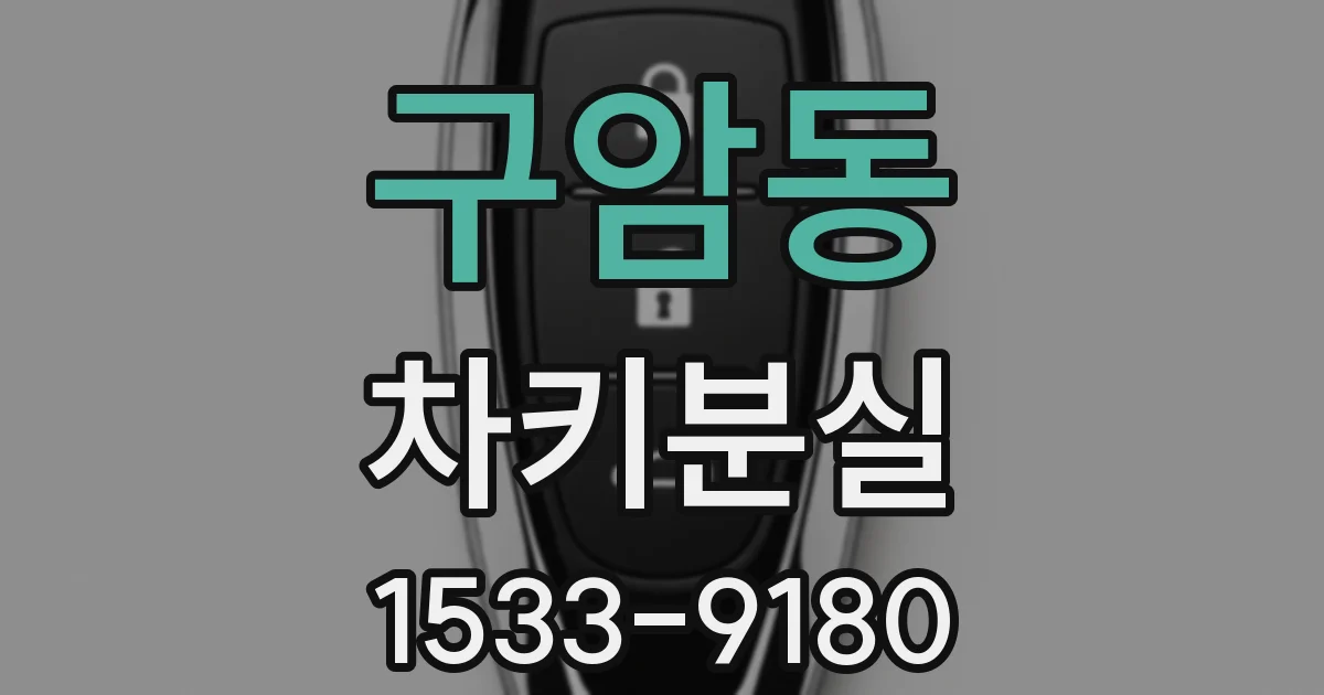 구암동 차키분실