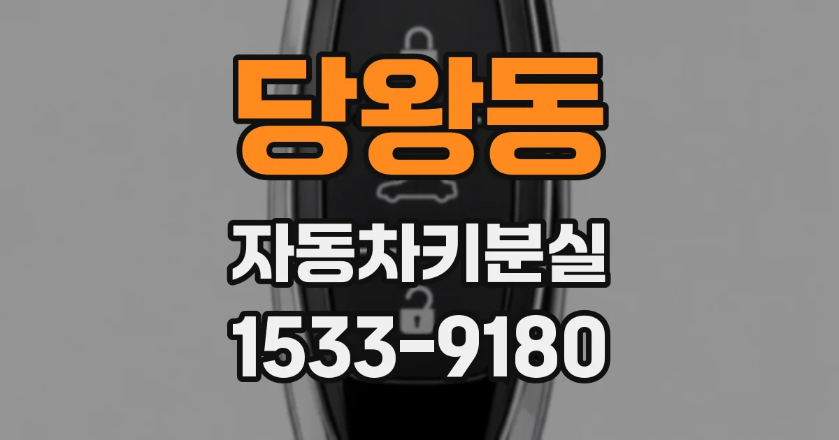 당왕동 자동차키분실
